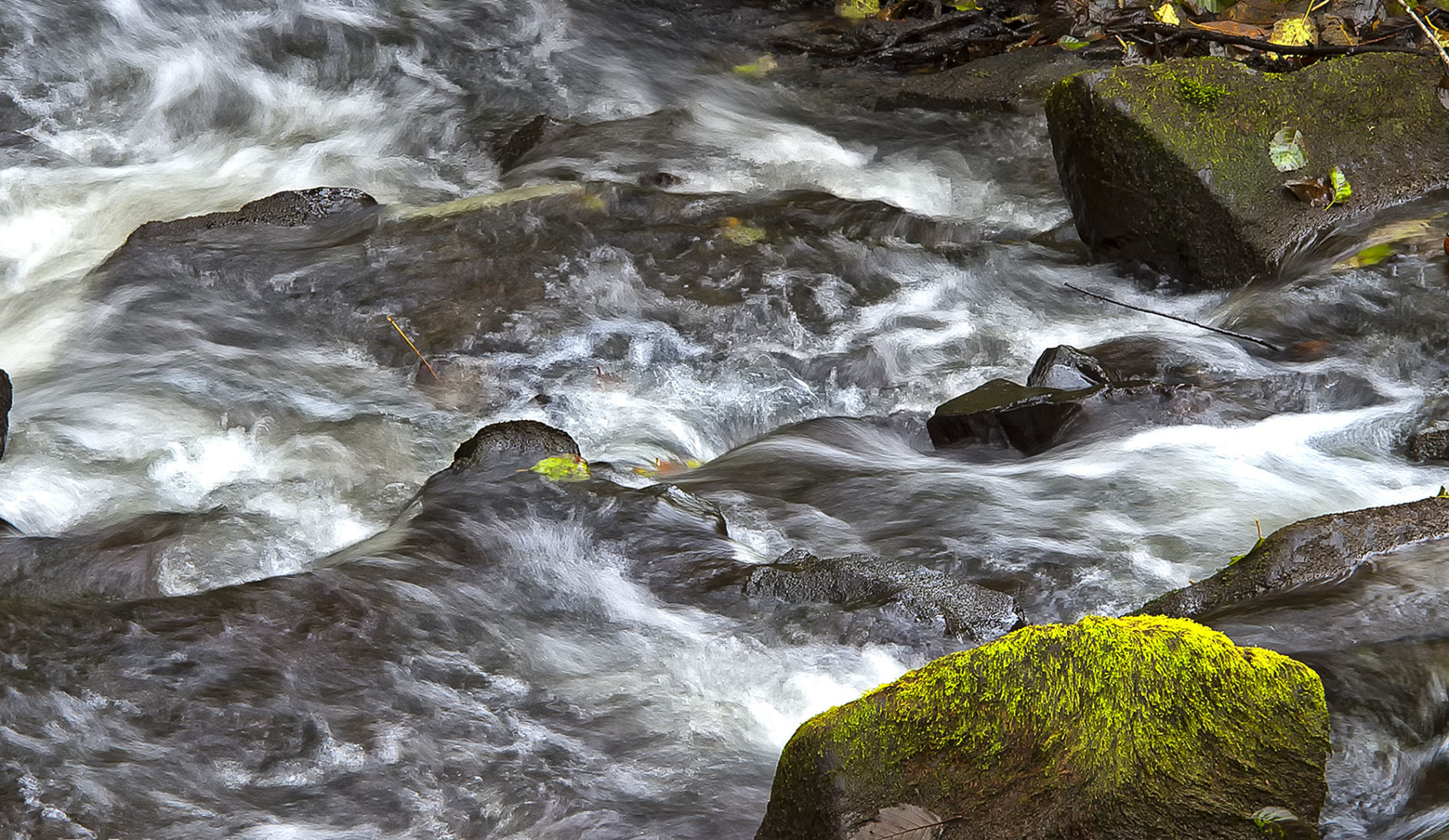 Beaver Creek